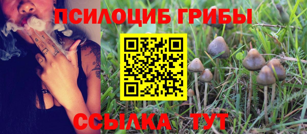 Псилоцибиновые грибы Psilocybe  Вход с VPN  Лангепас 
