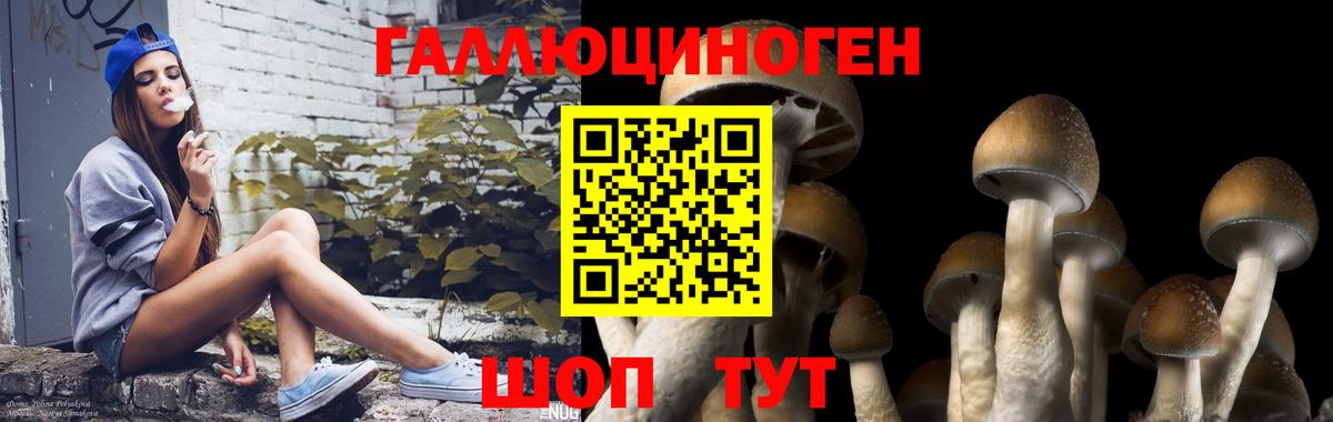 Псилоцибиновые грибы прущие грибы Лангепас